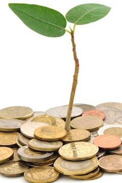 Lynda Soderlund–LSA Accountants - Renee 3