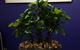Susan Smith & Associates Pty Ltd - thumb 3