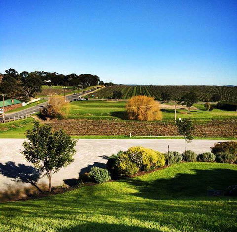 Little Olive Leaf Cafe - Swimm 14