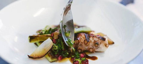 Little Olive Leaf Cafe - Swimm 2