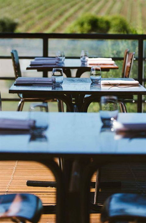 Little Olive Leaf Cafe - Swimm 4