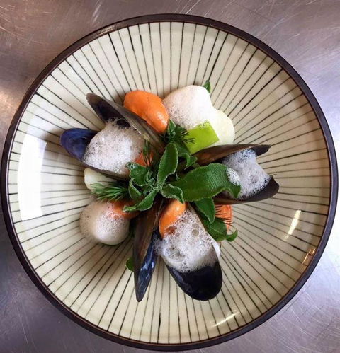 Little Olive Leaf Cafe - Swimm 5