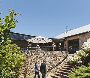 Little Olive Leaf Cafe - Swimm 8