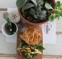 Cafe Silo - Qld Realsetate