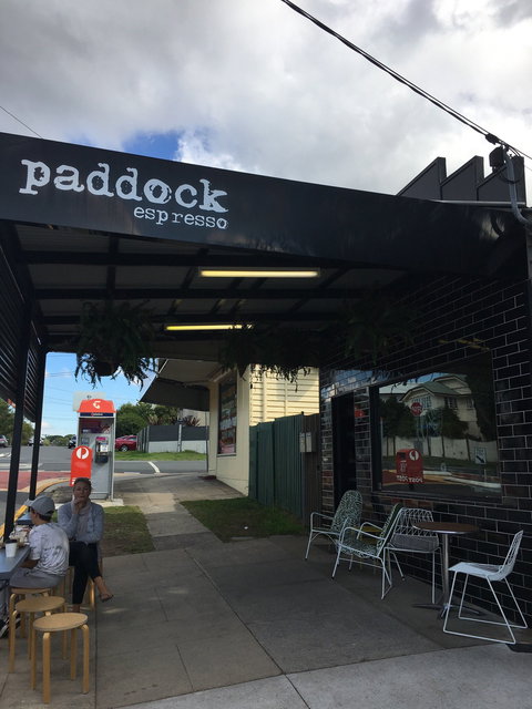 Paddock Espresso - Renee 2