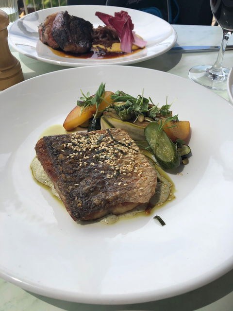 Wise Vineyard Restaurant - Renee 6