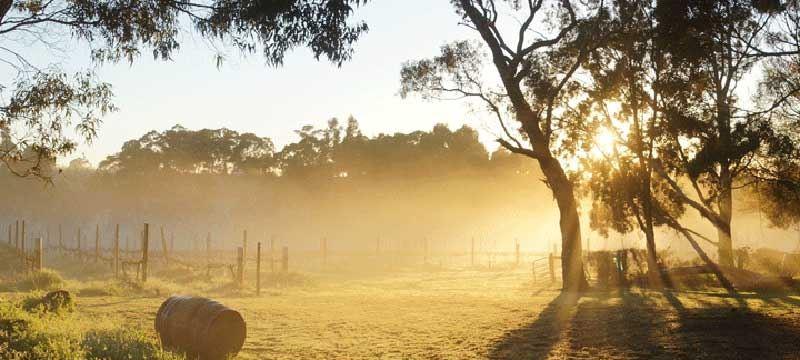 Campbelltown NSW Renee