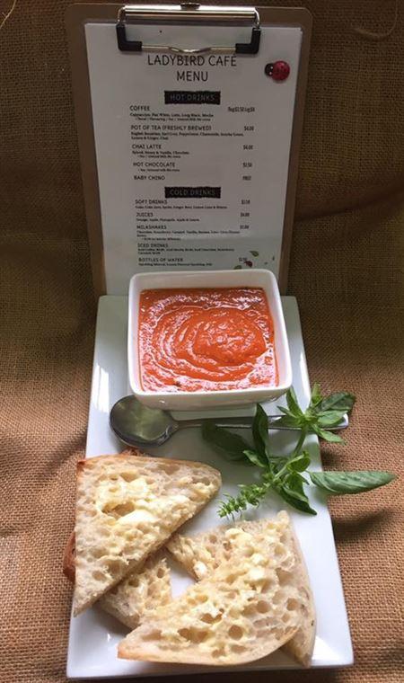 The Ladybird Cafe - Renee 4