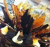 Balcony 69 Cafe  Restaurant - Swimm