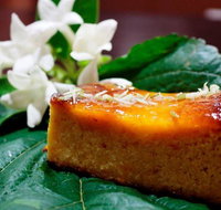 Lazy Rabbit - Qld Realsetate