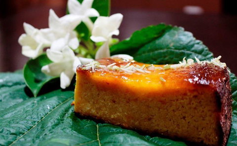 Lazy Rabbit - Renee 0