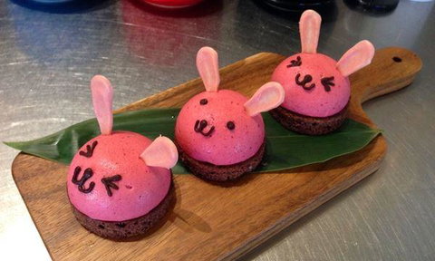 Lazy Rabbit - Renee 9