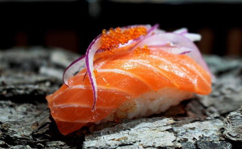 Lazy Rabbit - Renee 2