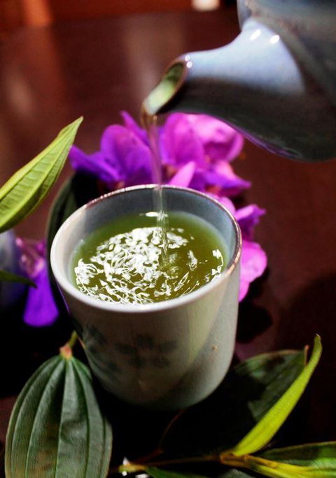 Lazy Rabbit - Renee 4