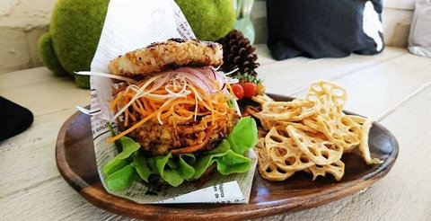 Lazy Rabbit - Renee 5