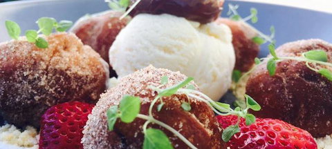 The Colour Nine - Renee 3