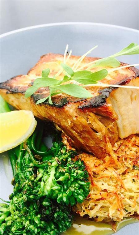 The Colour Nine - Renee 4