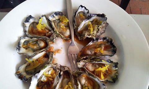 Ellis Beach Bar & Grill - Swimm 2