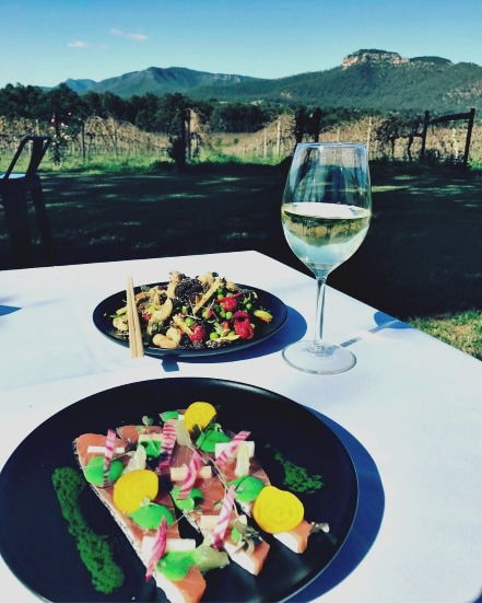 Mount Broke Wines Restaurant - Renee 2