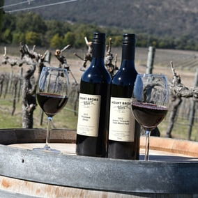 Mount Broke Wines Restaurant - Renee 5