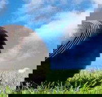 Moore Park Beach Bowls  Sports Club - Internet Find