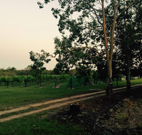 Brierley Wines - Renee