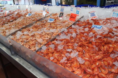 Northern Rivers Seafood - Swimm 1