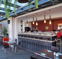 Cherry Blossom Tree - Swimm