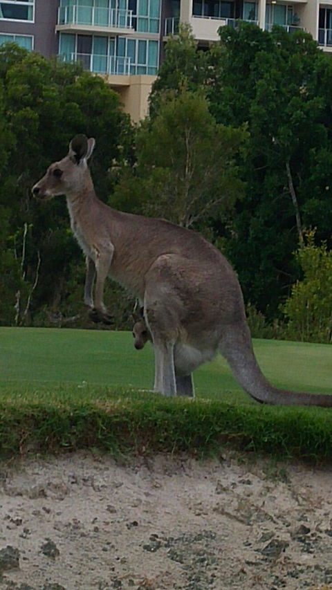 T On Course - Renee 3
