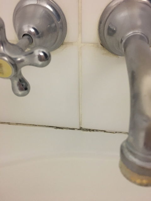 Cattleman's Rest Motor Inn - Renee 6