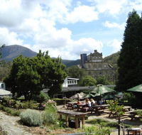 Cascade Brewery - Renee