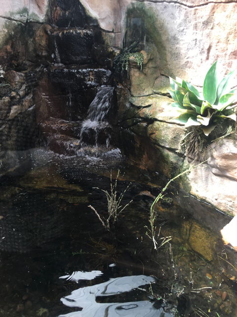 Darwin River Tavern - Internet Find 7