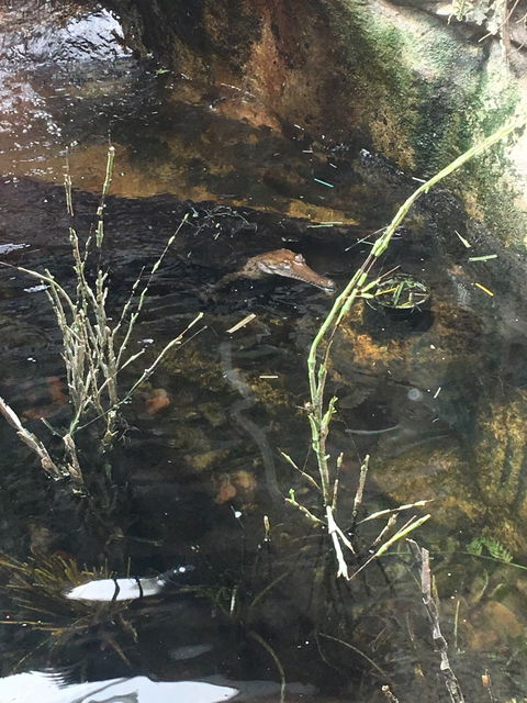 Darwin River Tavern - Internet Find 8