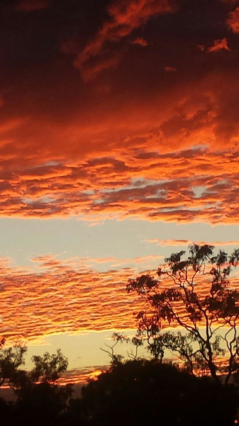 Territory Manor Mataranka - Renee 1