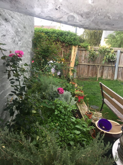 Czegs' Cafe - Renee 1