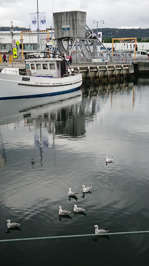 Fishy Business - Renee 8