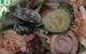 Liv-eat Fresh Eating (Sandy Bay) - thumb 1