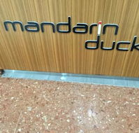 Mandarin Duck - Renee
