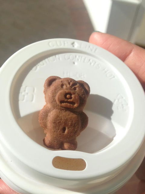 Sash Coffee - Renee 9