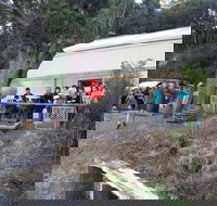 The Bay Fish - Renee