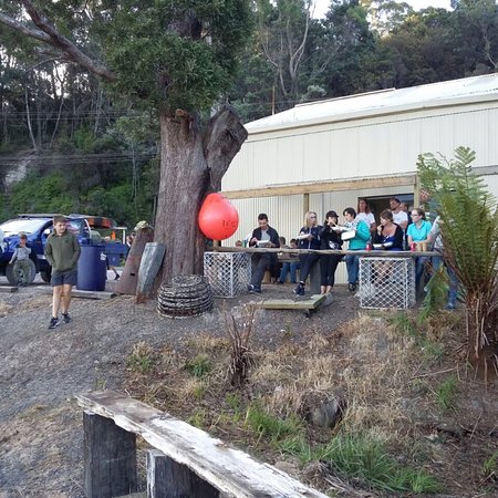 The Bay Fish - Renee 0