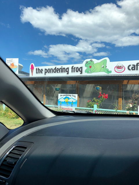 The Pondering Frog - Renee 9
