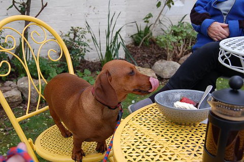 The Quilted Teapot - Swimm 0