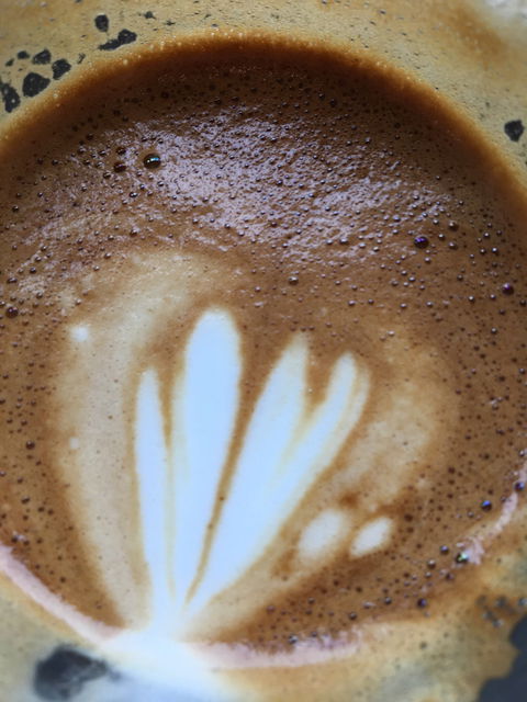 Two Folk Espresso - Renee 1