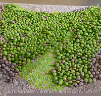 Wattle Hill Olives - Internet Find