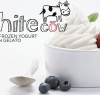 White Cow - Greek Frozen Yogurt Artisan Gelato - Renee