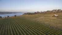 Bangor Vineyard Shed