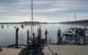 Dunalley Waterfront Cafe - thumb 3