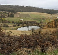 Fat Pig Farm - Renee