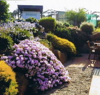 Pipers River Tea House and Crafts - Renee